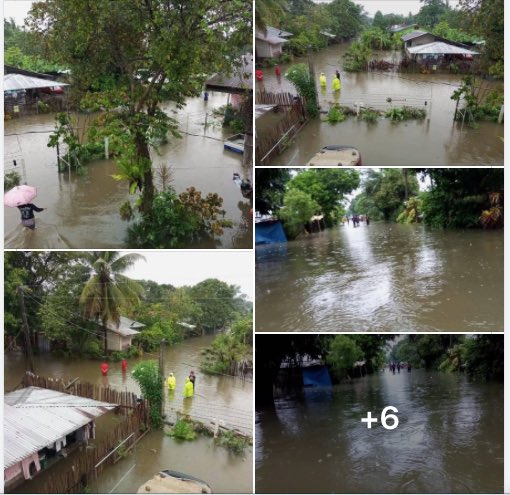 gjmsabrina's tweet photo. @lenirobredo Also, there are flooded houses in Narra Palawan and they are asking for help https://t.co/xYrCd2mCUQ