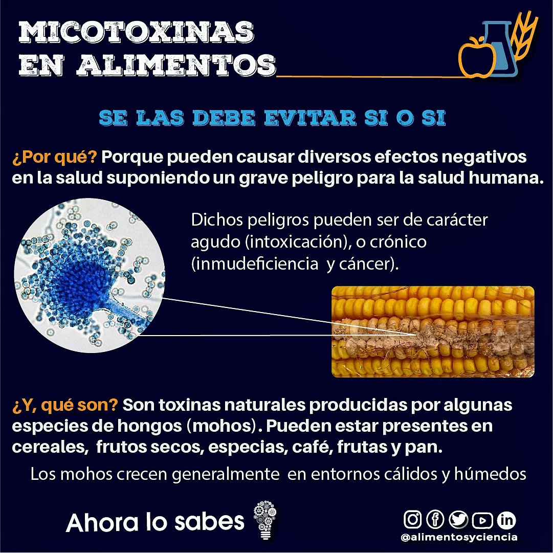 AlimentosyCien's tweet photo. 🚫 Micotoxinas en alimentos 🤔

Se las debe evitar ! 👍

😱 Pero, ¿Qué son las micotoxinas?

Las micotoxinas son compuestos tóxicos producidos de forma natural por algunos tipos de mohos. 

#inocuidad #alimentosyciencia  #microbiologiadealimentos #seguridadalimentaria https://t.co/W433MsY0Dm