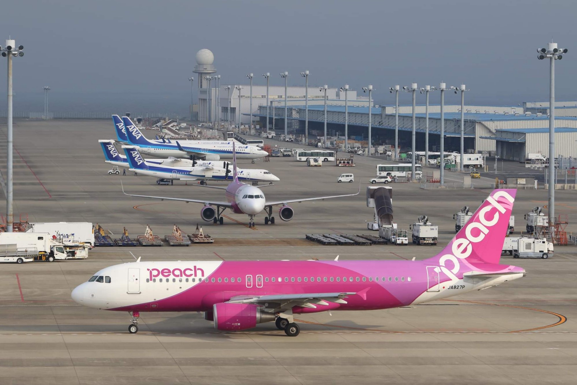 中部国際空港セントレア Peachの機体が新千歳 に向けて出発です 曇り空でも鮮やかなフーシアピンクが映えてますね 今朝の滑走路は36です セントレア T Co 6kc3g4ftmh Twitter