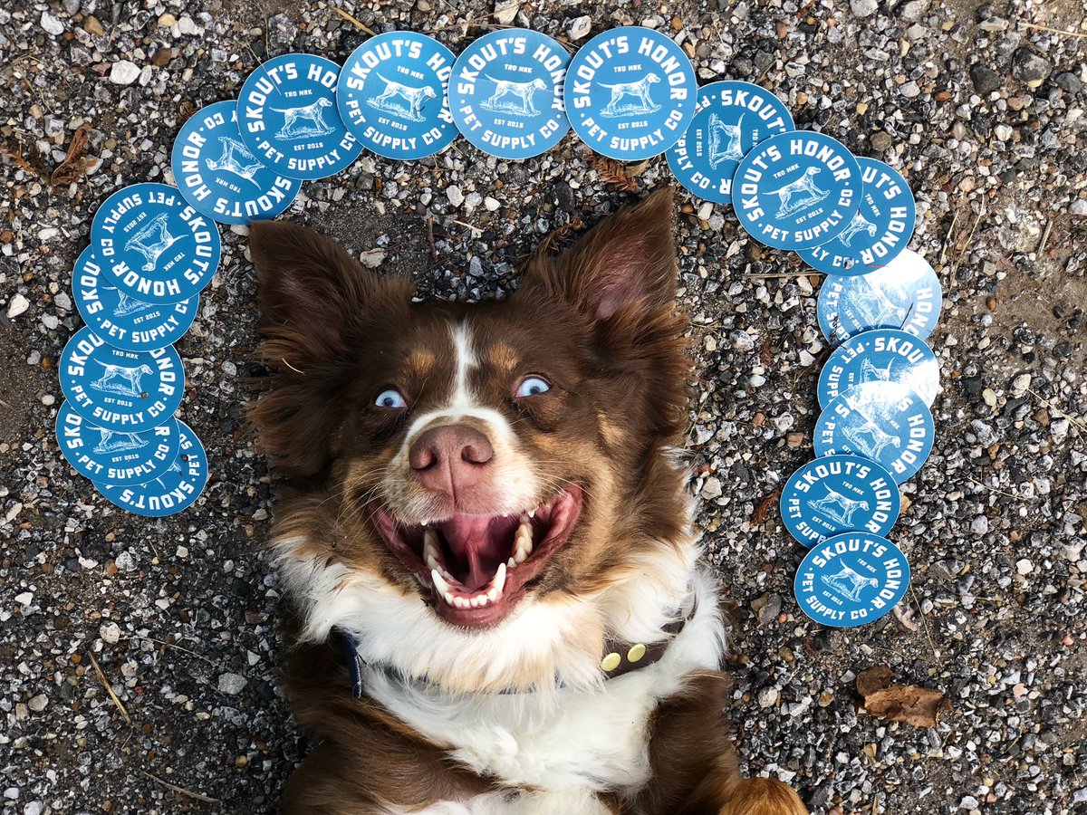Alpha SAR (@alpha_sar) on Twitter photo We hope you are as excited as Abigail about all of these awesome goodie bag items! One of which are these stickers from Skouts Honor Pet Supply Company. Thank you <a href="/skoutshonor/">Skouts Honor</a> for your donation!
#goodiebags #alphacon21 We hope you are as excited as Abigail about all of these awesome goodie bag items! One of which are these stickers from Skouts Honor Pet Supply Company. Thank you <a href="/skoutshonor/">Skouts Honor</a> for your donation!
#goodiebags #alphacon21