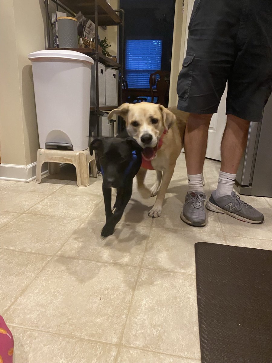 𝒯ℴ𝓃𝒾🪻𝒜𝓃𝓃 (TA or Toni) tweet media