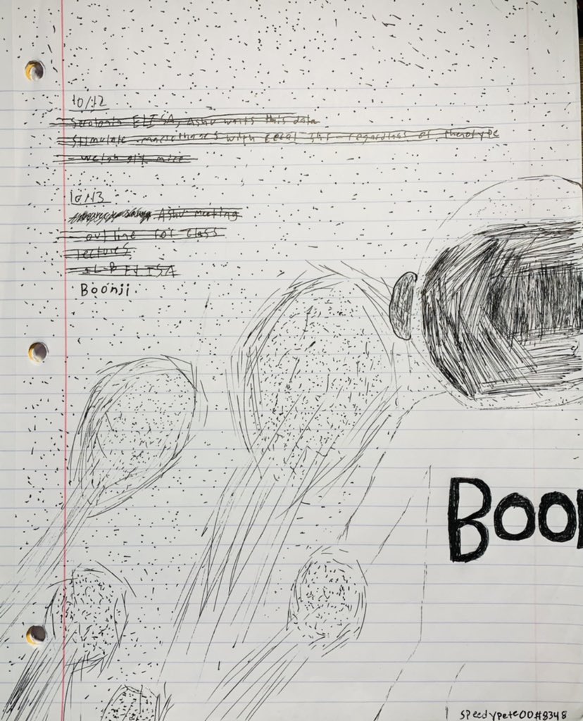 PeterLehman14's tweet photo. speedypete00#8348 #BoonjiProject @BoonjiProject https://t.co/1Ksvu67rJn