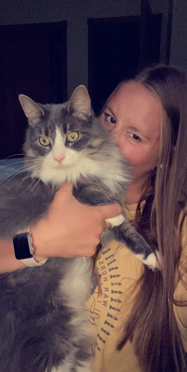 kmeeels's tweet photo. If anyone in Seneca Falls sees this beautiful cat, please let me know! She’s missing, super friendly girl! Please please keep an eye out. https://t.co/TLWC4GO4kR