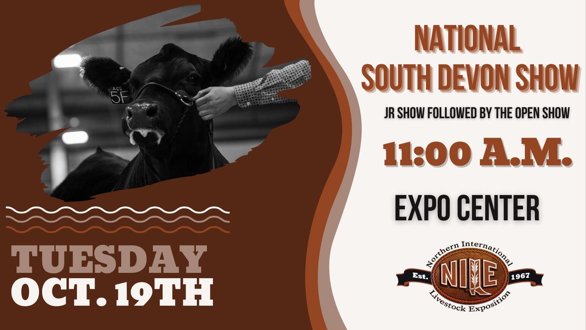The_NILE's tweet photo. You aren't going to want to miss any of the cattle shows! Find out when the Mini Hereford, South Devon, Aberdeen &amp; Texas Longhorn shows are happening below.

#thenile2021 #cattle #shows #longhorn #aberdeen #minihereford #southdevon https://t.co/iy0uA0ZjiQ