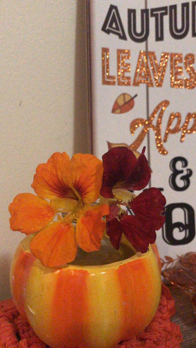 JetMarieCT's tweet photo. What’s best about these beauties is they are #homegrown in #ct by my buddy @thapopejon #ctgrown #ediable #flowersyoucaneat #beautiful #fall #autumn https://t.co/Nguu5KZ9JX