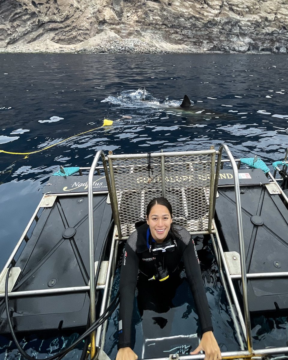Evelyn Guijarro (@evelyn_guijarro) on Twitter photo Un sueño hecho realidad🤩 Mi corazón explota de FELICIDAD 💥por conocer a este majestuoso animal.
Aunque por otro lado me duele que GRACIAS! <a href="/nautilusxplorer/">Nautilus Liveaboards</a> Un sueño hecho realidad🤩 Mi corazón explota de FELICIDAD 💥por conocer a este majestuoso animal.
Aunque por otro lado me duele que GRACIAS! <a href="/nautilusxplorer/">Nautilus Liveaboards</a>