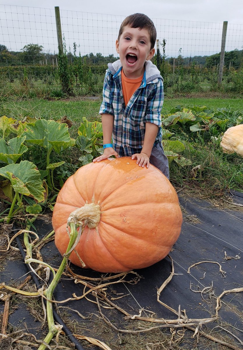 KRich312's tweet photo. Today we crushed #fallwithalane!
#1 pumpkin patch visit
#9 roast pumpkin seeds
#11 dress up for Halloween
#12 fall festival attended
#18 RAOK (complimented super kind kids to parents)
#22 family photo
#30 maze

BOOM  💥 @AlaneAdamsBooks https://t.co/6jhS1lNc0x