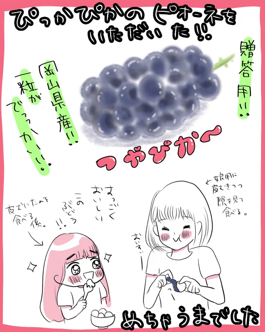 岡山のピオーネ!!
めちゃんこ美味しくて娘が半分以上食べてました。
#育児絵日記 #育児漫画 #イラスト 