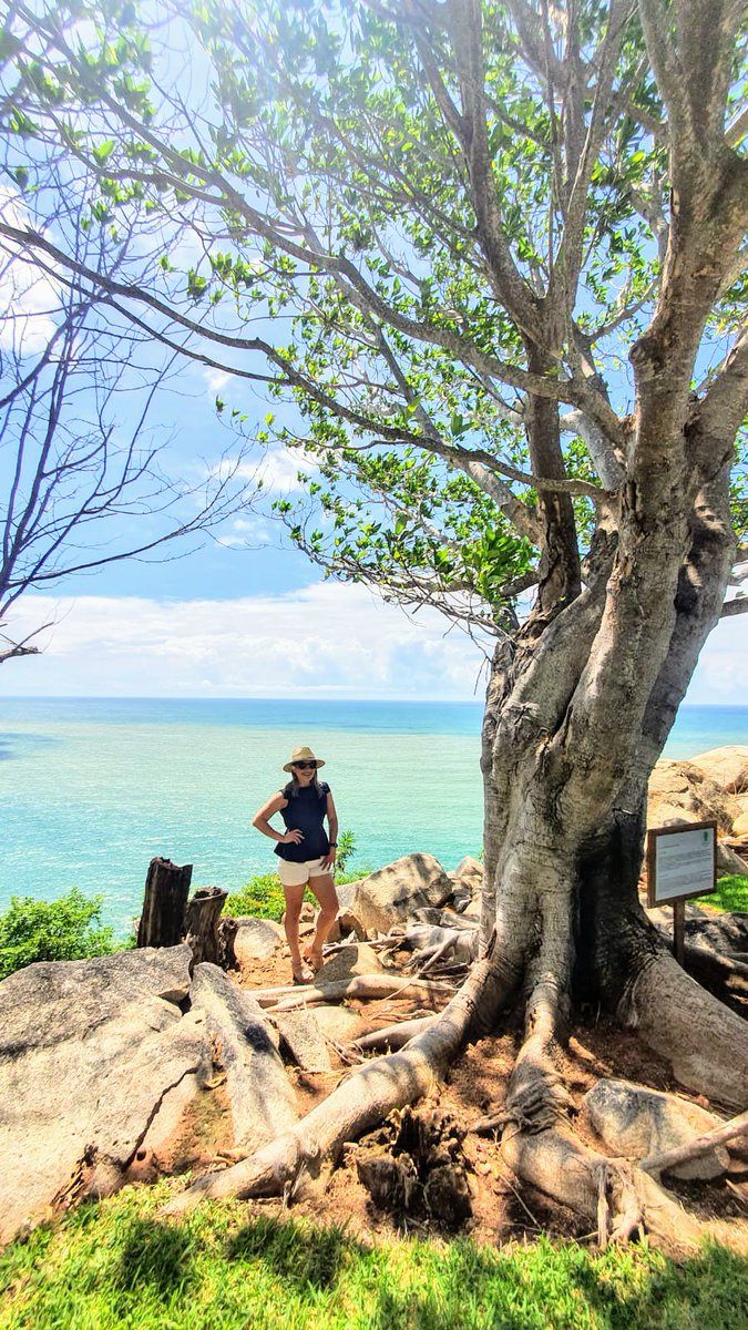 Gabbs1117's tweet photo. #Acapulco #bayantree 🌴 https://t.co/9hZMVA0oeZ