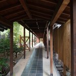 ツイートに含まれる画像