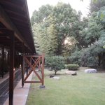 ツイートに含まれる画像