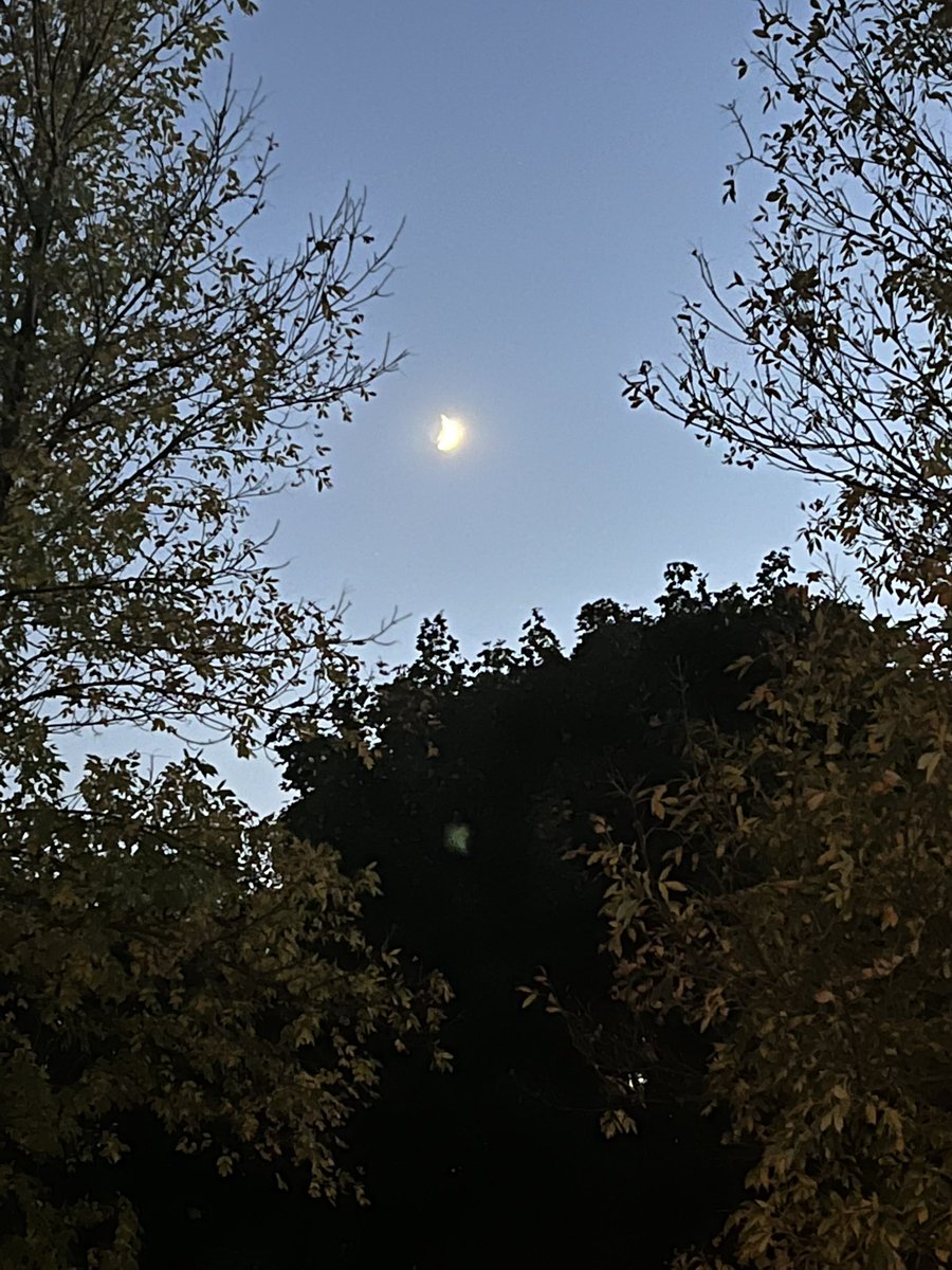 Betsy Luke tweet media