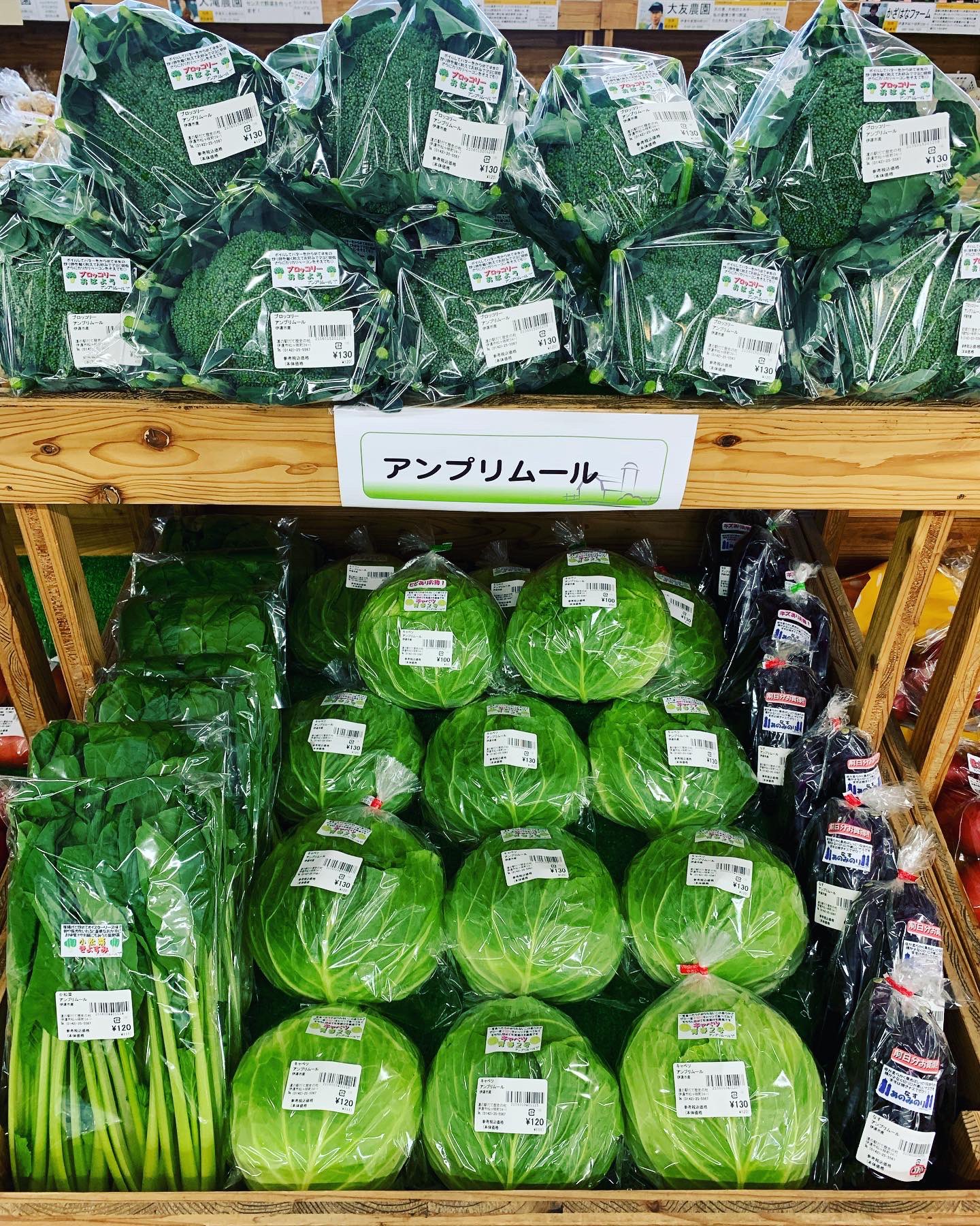 アンプリムール ミニ赤大根の赤房の酢漬けです 漬けたてはまだ白いです 2日たつと薄っすらピンクに 緻密な肉質がいい食感です T Co Uoxyyrtags Twitter