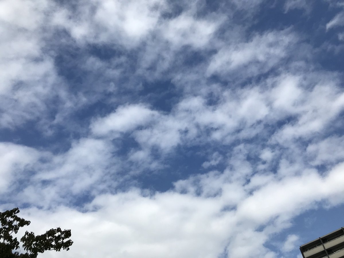おはようございます。今朝の名古屋は雲の多い空です。夕方からは雨の予報です。ヤスイ質店、今日も元気に営業してます！
yasui78.com