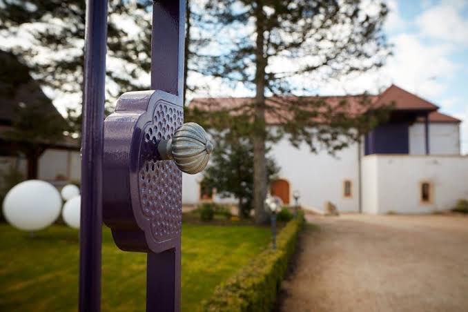 Le Plonque tweet media