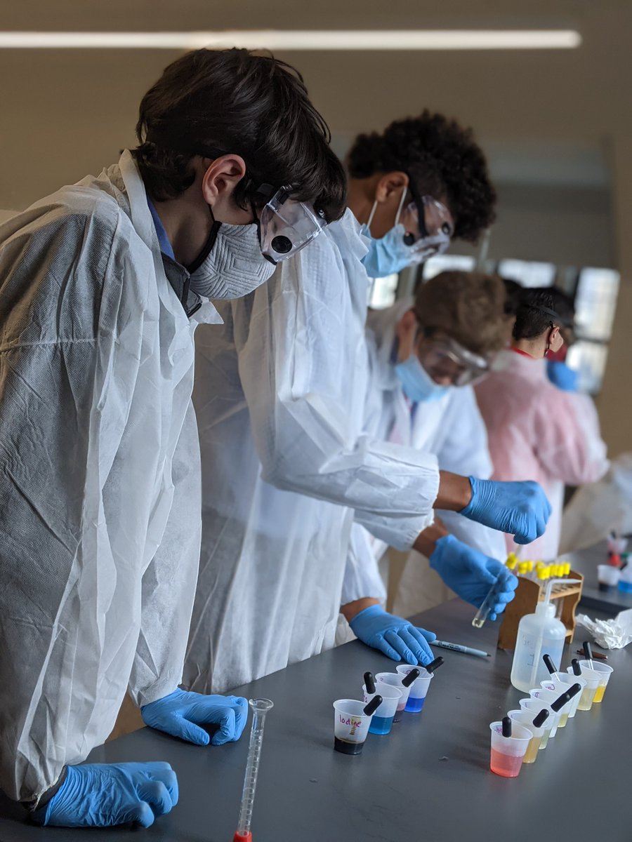 fairfieldprep's tweet image. What does STEM look like? In Prep’s new Barrett Science Center, our Honors Biology students tested for the presence of biological molecules in food items. #BeIgnited #BeChallenged #PrepSTEM #handsonlearning #JesuitEducated #biology #sciencelab