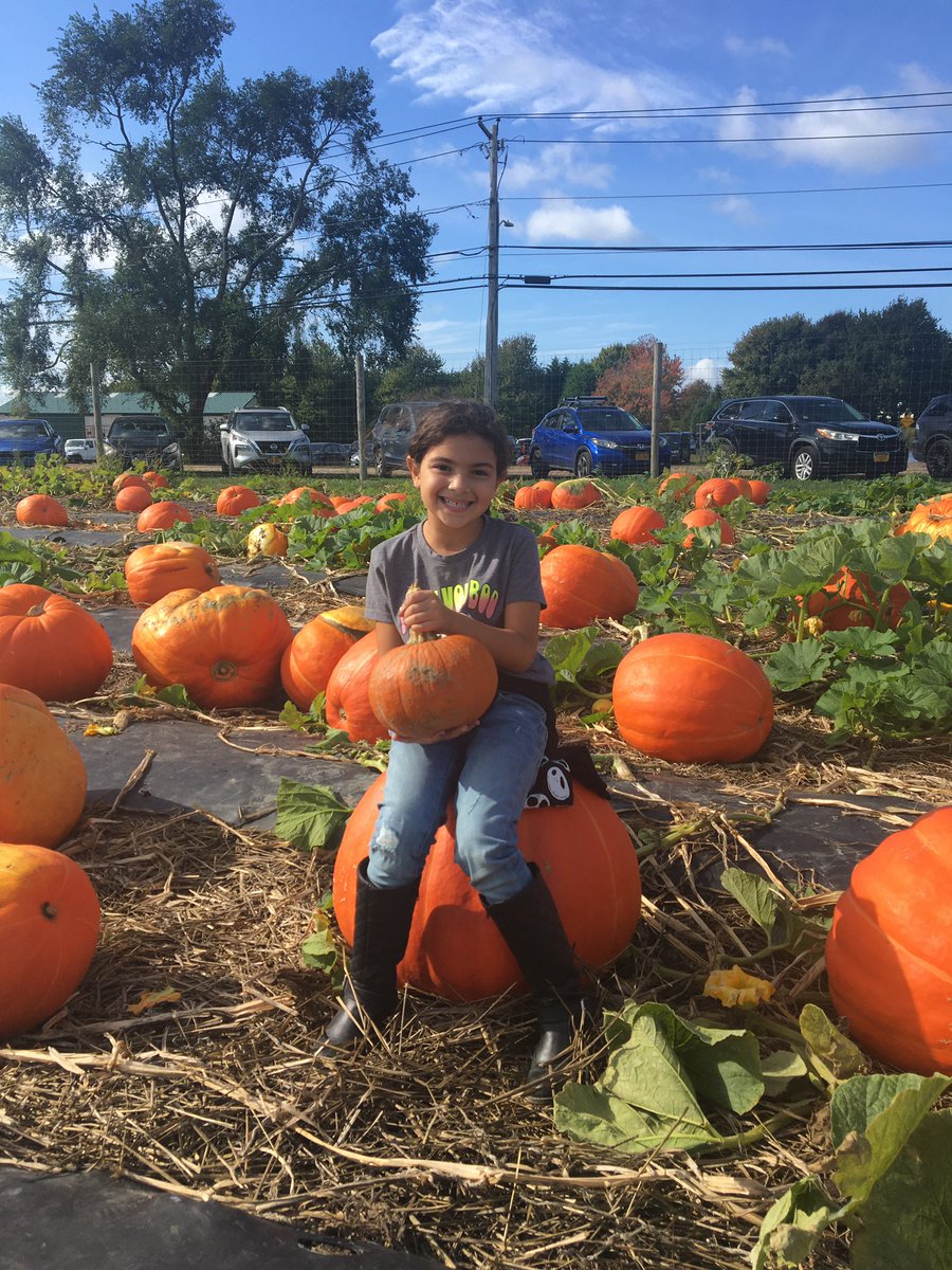 Dawn Vanterpool tweet media