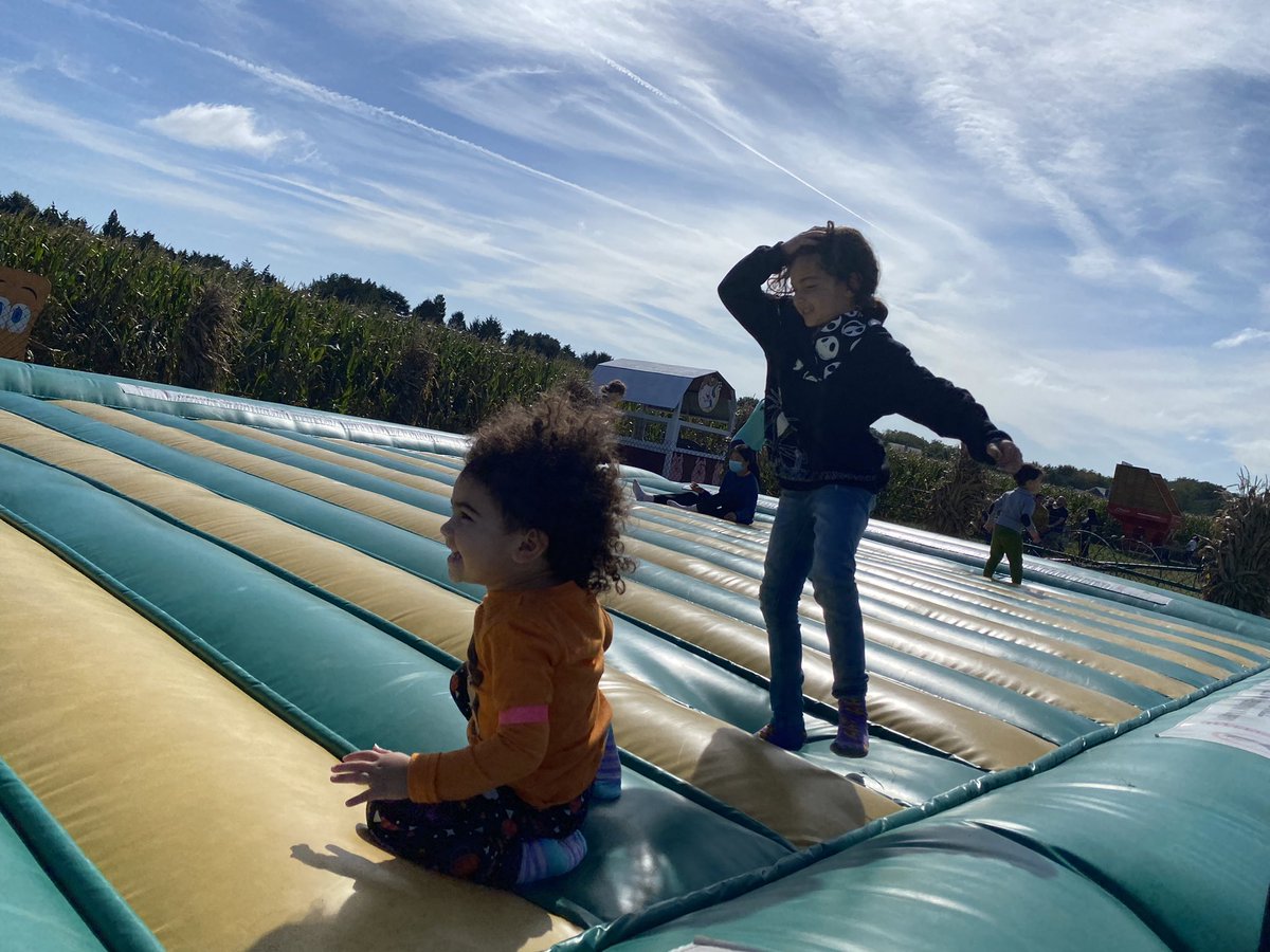 Dawn Vanterpool tweet media