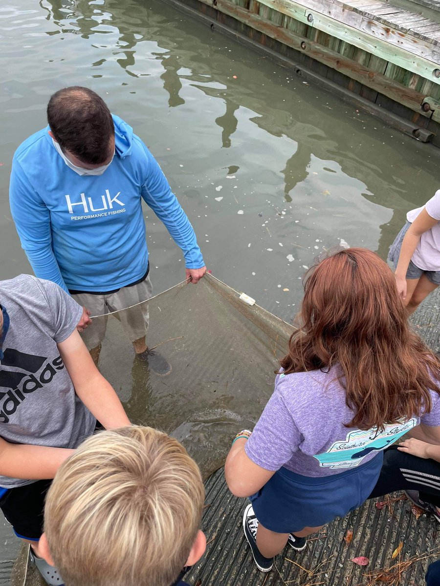 BTWashingtonMS's tweet photo. Water quality testing, kayaking and identifying species. #MarineScience #NNPS #BookerTWashingtonMiddleSchool https://t.co/QfZVUGgpRE