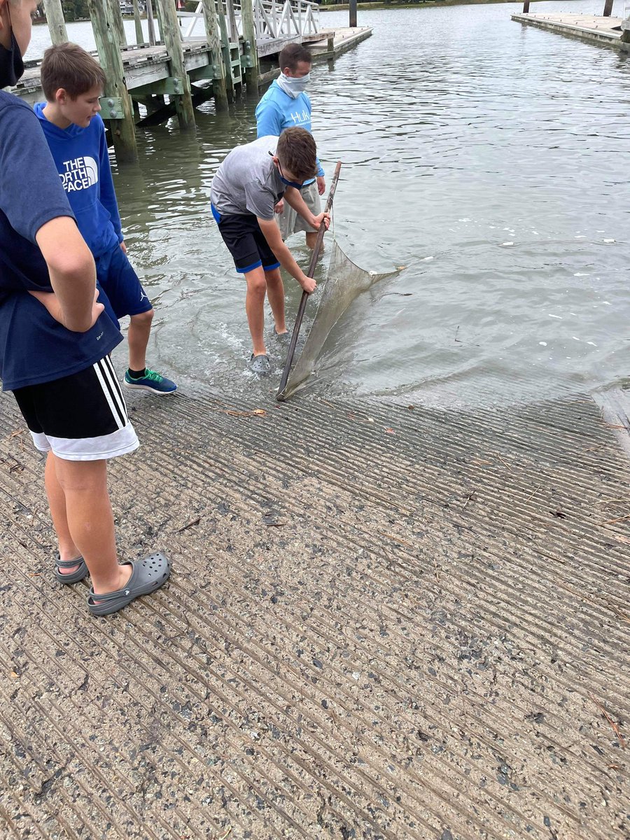 Water quality testing, kayaking and identifying species. #MarineScience #NNPS #BookerTWashingtonMiddleSchool