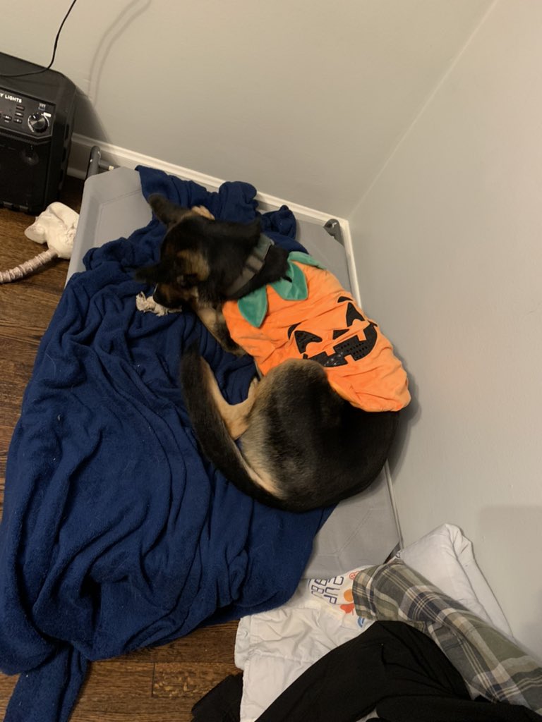 dmgoodm2's tweet photo. spooky jammies https://t.co/AOPHtgiArA