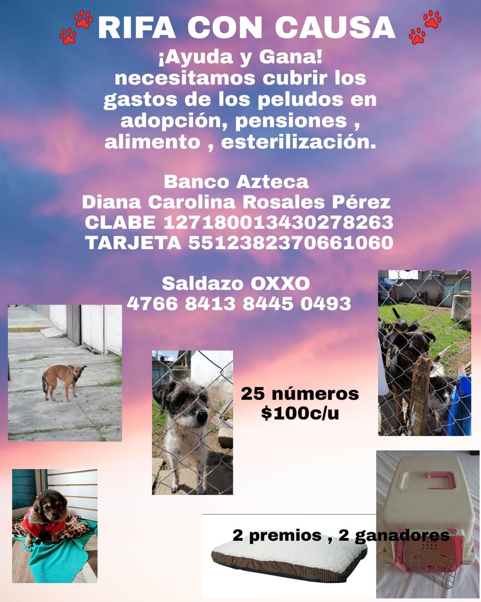 VIBRAmascotas's tweet image. Solos nunca podríamos ayudar a tantos peludos como lo hemos hecho hasta hoy. #ayuda #rt #cadenadeayuda