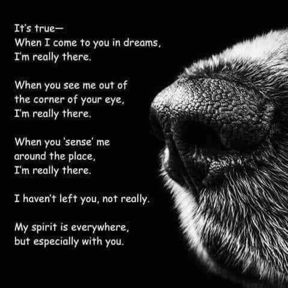 freedombridgeAR's tweet photo. Their spirit stays with you... https://t.co/APFMvJcPmR