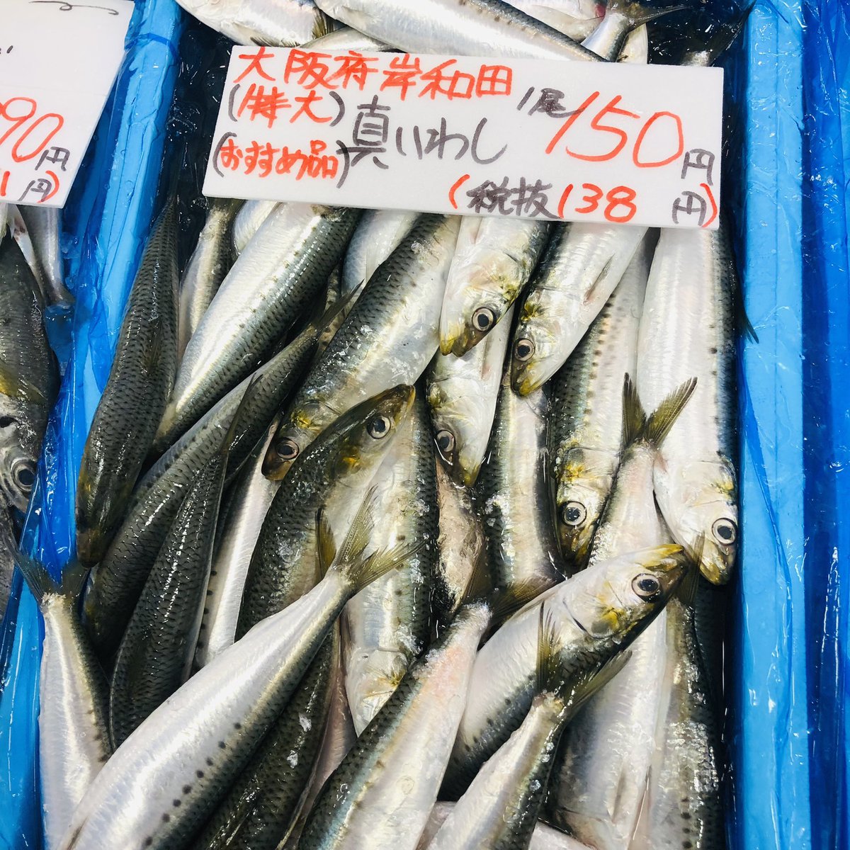 0724泉州 アシカ 0724sensyu Twitter 0724泉州 アシカ 0724sensyu Twitter