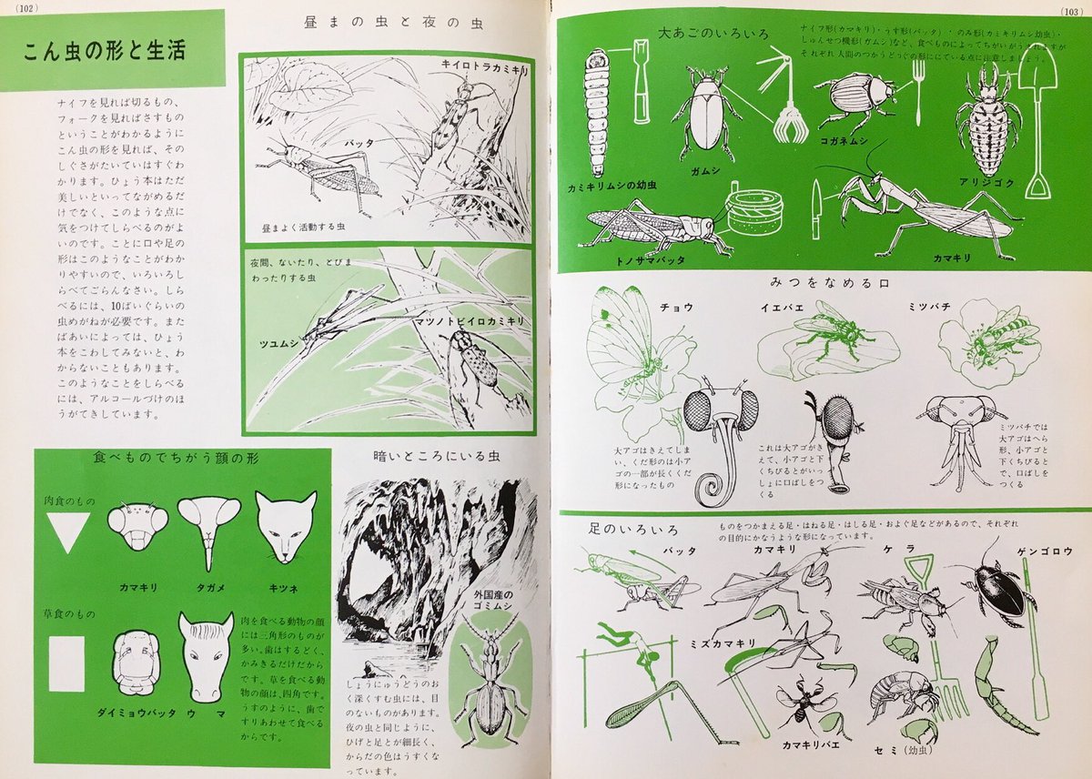『昆虫の図鑑』は、23歳の時、クモのページを開いて突如心奪われるまで、あまりちゃんと見たことがなかった。別に虫が嫌いだったわけではないんだけど。半翅目のページはメルヘン調に思えて好きだった。モノクロの細かいペン画も好きだった。あと「こん虫の形と生活」が面白くて大好きだった。