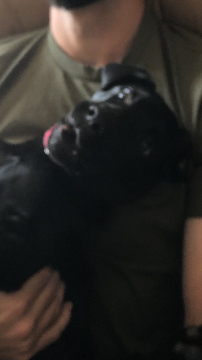 jadynwebberrr's tweet photo. I’m sorry, but Scout’s face in this picture sends me into a full spiral https://t.co/KnOLiN7uRl