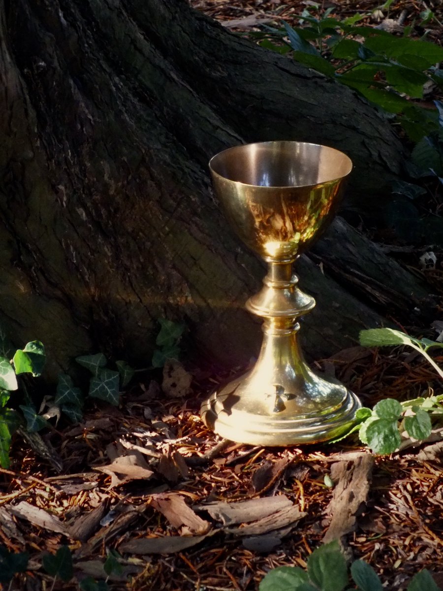 Shelley Turner tweet media