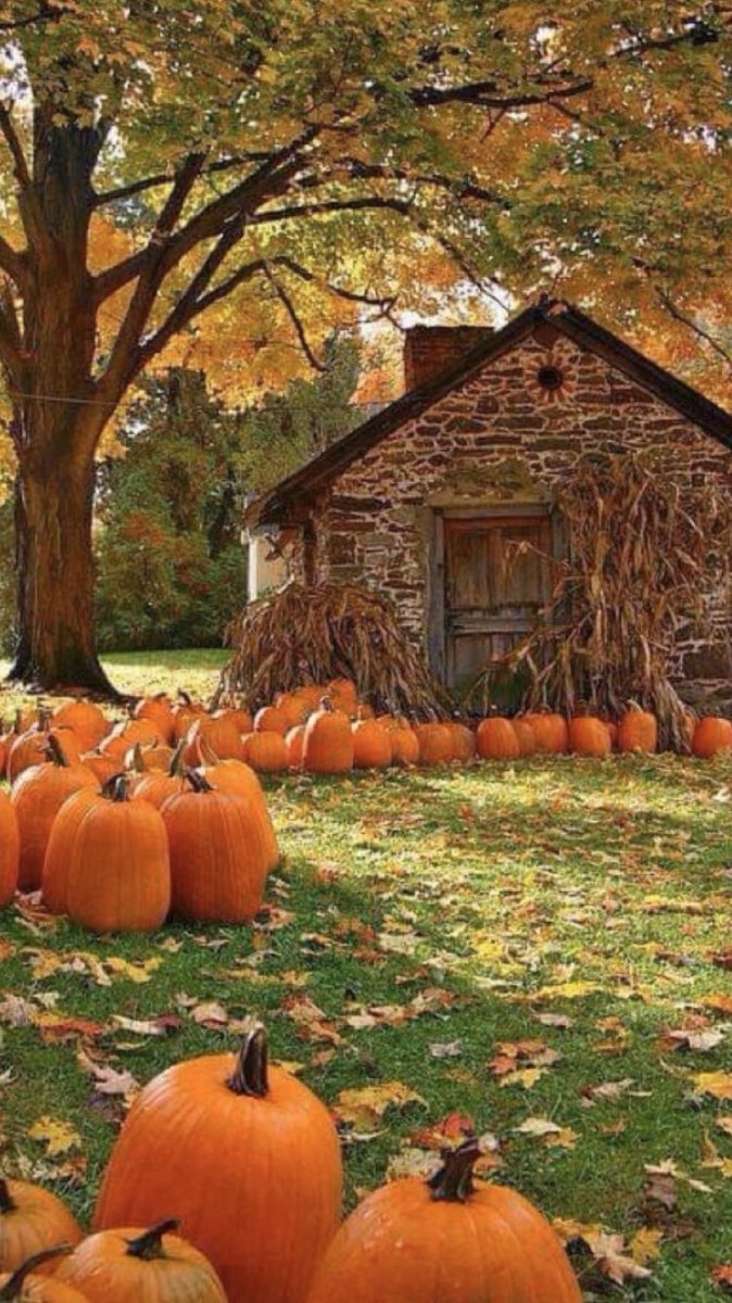 Hope y’all had a good start to the new week 🎃🍁👻 #October2021 #HappyAutumn2021 🎃😘🧚🏻🐈🍁