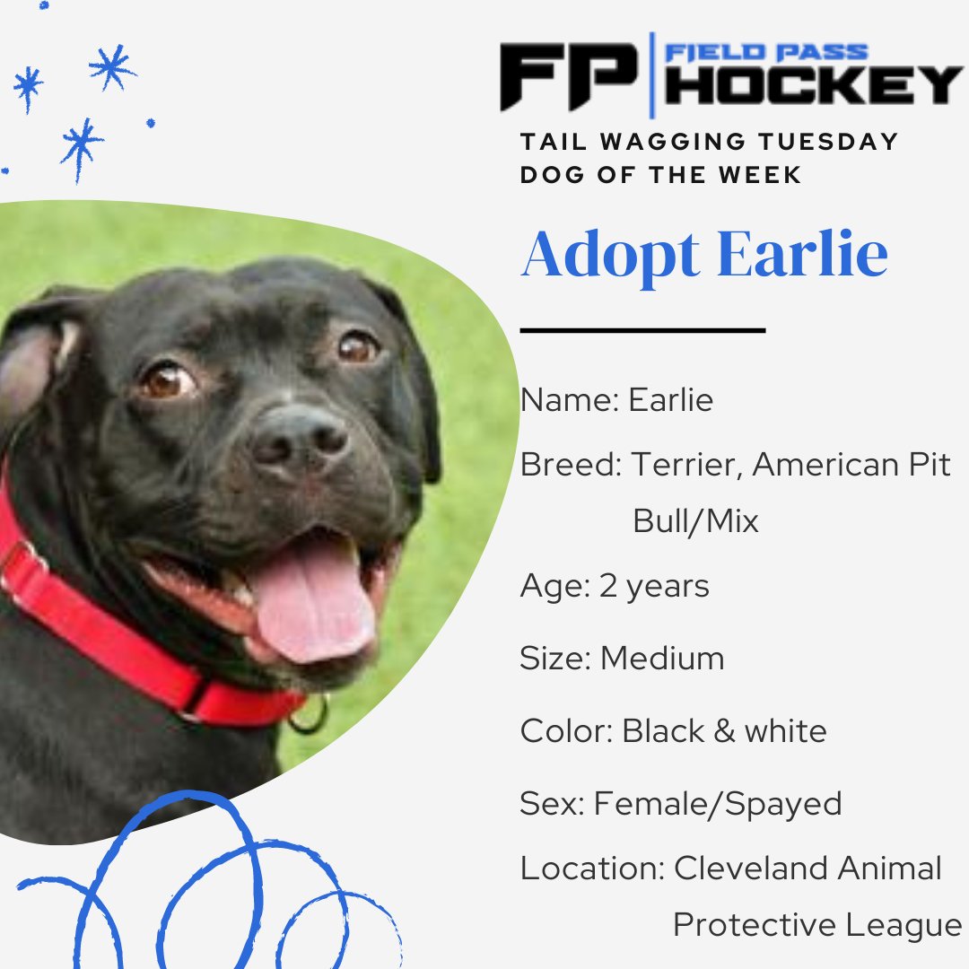 FPHMonsters's tweet photo. Starting today, I will be featuring one adoptable dog and cat in the Cleveland area in the hopes of finding them a home!
This week's #TailWaggingTuesday dog of the week is Earlie!
Looking for someone to go on long walks with? Then this beauty may be the dog for you! https://t.co/Tun7Z9eUng
