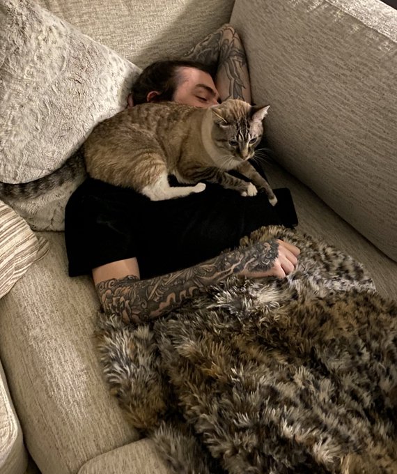 so i bought a yard of faux fur for my halloween costume and both my cats love it... guess i&rsquo;m gonna have