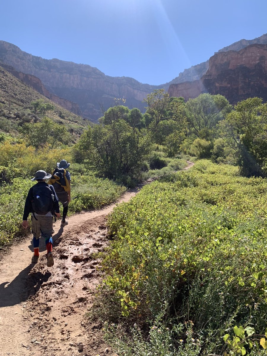 KimberBrittain's tweet photo. Mission accomplished in one day. Good job #Jaxton! #North #Rim to #South #Rim #GrandCanyon @GrandCanyonNPS @Tunnel2Towers #kids can do stuff. #charity https://t.co/QvoNM4IbH5