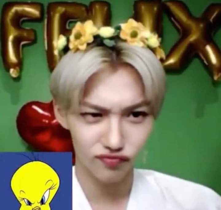 CLOSED (@lqminsunglix) on Twitter photo 