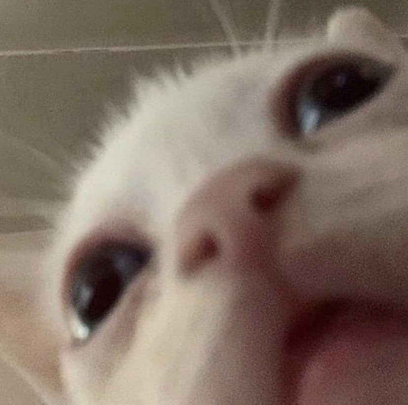 robbiejem's tweet photo. @quenchilada pls give soup https://t.co/JmoTuFZsKE
