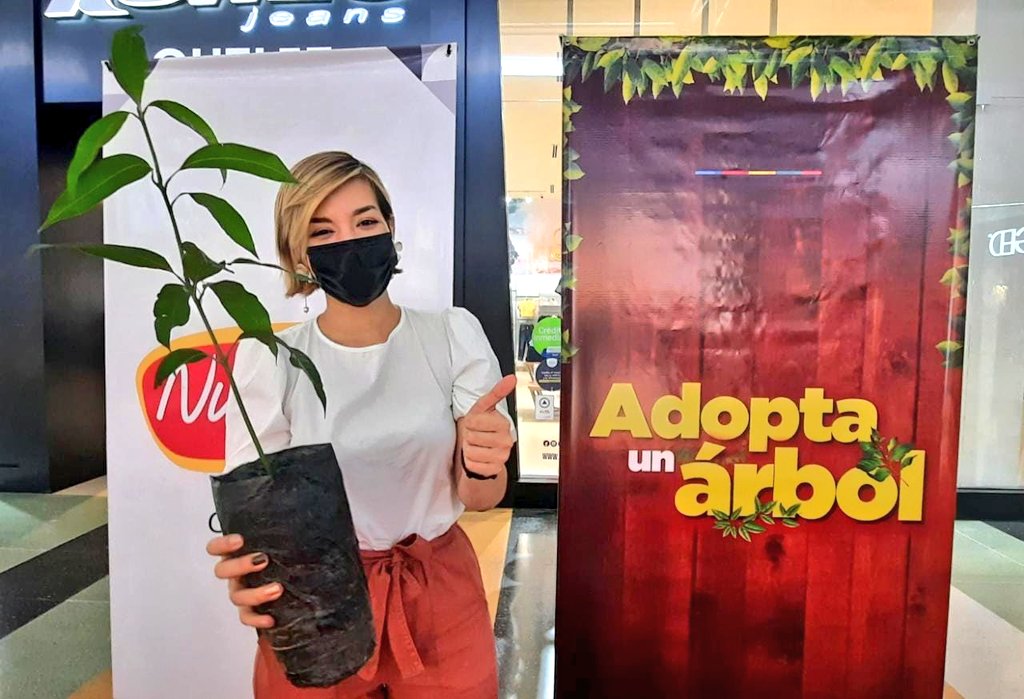 monterialcaldia's tweet photo. 🎉300 árboles entregados.
Agradecemos a todos los ciudadanos que se acercaron a los puntos #AdoptaUnÁrbol. Mañana la invitación es a sembrar #UnÁrbolPara la vida🌱🌳 https://t.co/FV9uBEqXzp