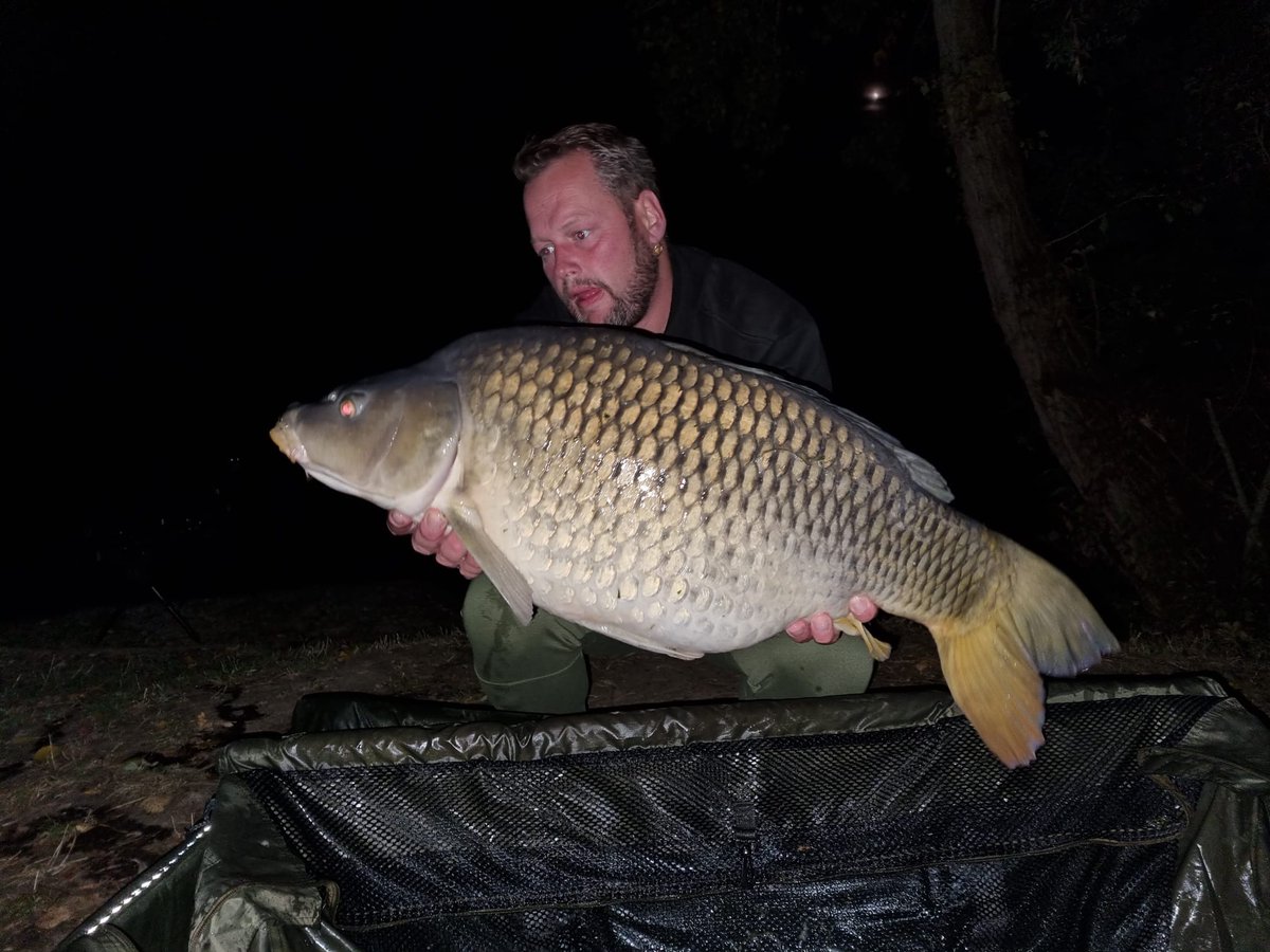 ecbaits's tweet image. Shrimp en garlic