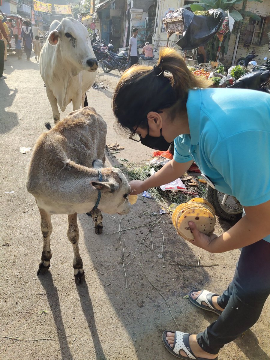 Meri_Dharti's tweet photo. क्योंकि भूख तो सबकी एक जैसी ही होती है ना 🤍

Join us to feed our stray friends - https://t.co/DwZHu8HRIs

#meridharti #farz #feedingstrays #stray #animal #feed #food #bezubaan https://t.co/8uPLZ6EEiY