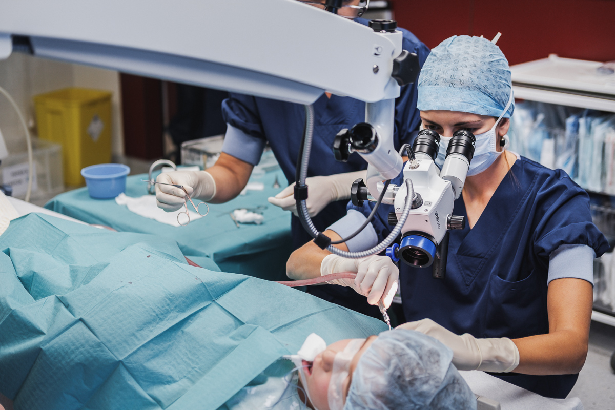 AZ Diest tweet media