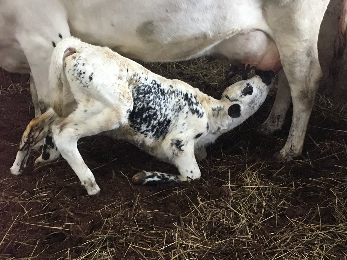 Anne Rintamäki tweet media