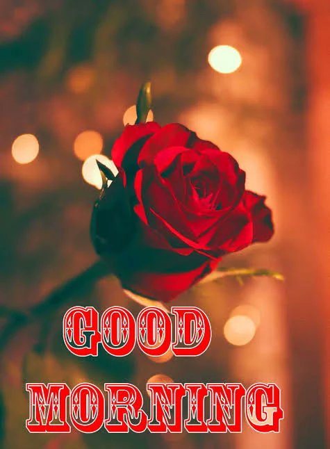 bashumollic's tweet photo. @david85351075 https://t.co/g8gM6nSwjG