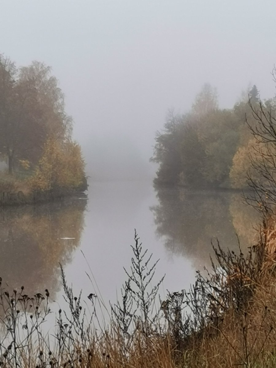 nieminenirma's tweet photo. Kauneutta aamulenkillä keskellä kaupunkia. #welovesalo #syksy https://t.co/biJDwMVBK1