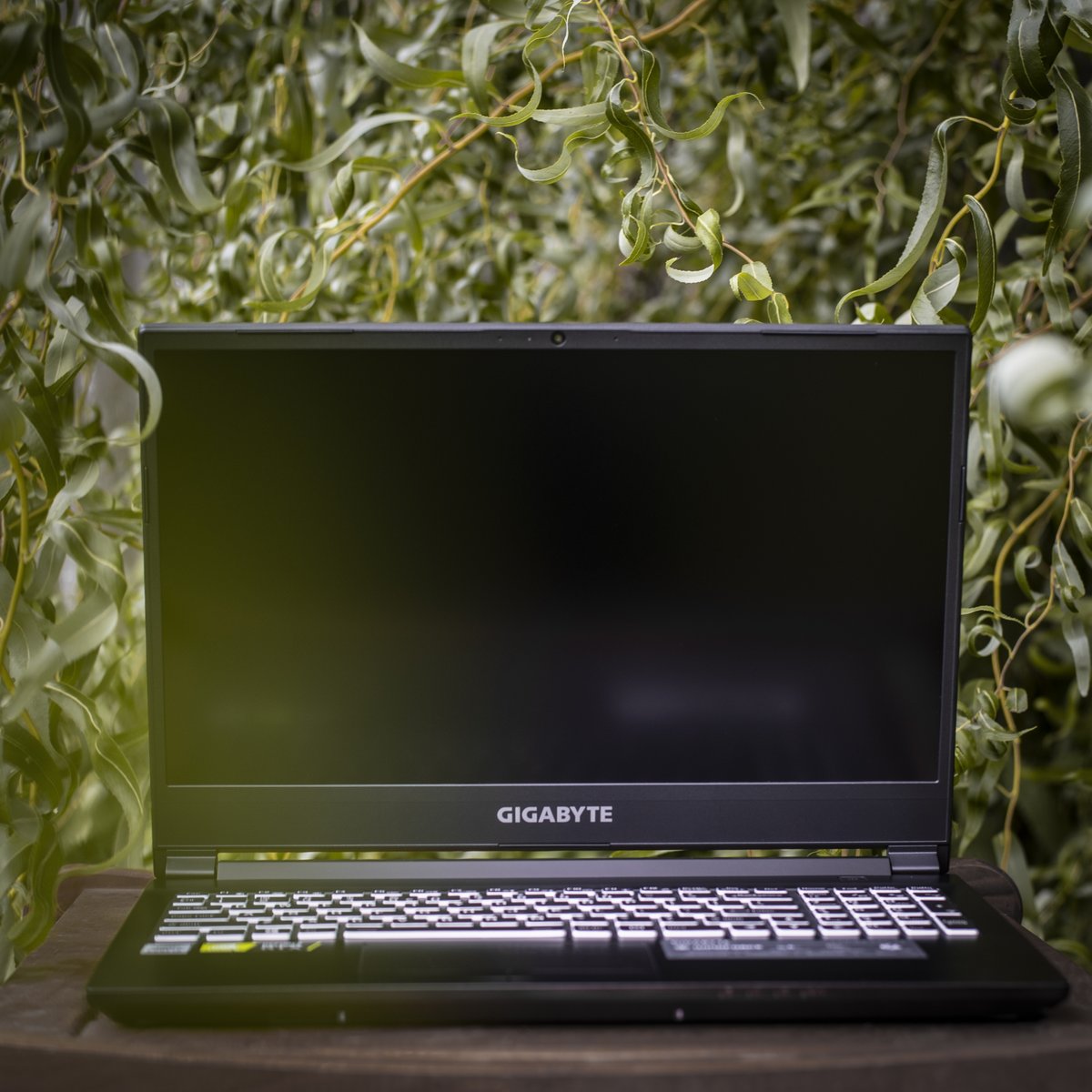 GIGABYTE_DE's tweet photo. Naturally perfect✨ 
GIGABYTE G5 Laptop eases the efforts with 144Hz refresh rate!
 
Gaming at the best with G5 now >> https://t.co/iblA8ecCBv
-
#GIGABYTE #PerformanceAboveAll #intel11thgen https://t.co/PjBLdg0Yod