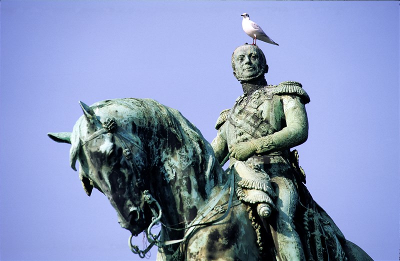 Nieuwe Podcast-aflevering van 'Wat bedoel je?!', dé podcast over heldere taal: open.spotify.com/episode/3pZSjL…
De zwerm landde deze keer op het binnenhof (zie foto ;-). We doken in de troonrede. Misschien wel de meest onbegrijpelijke tekst van het jaar?
#dezwerm #podcast #helderetaal