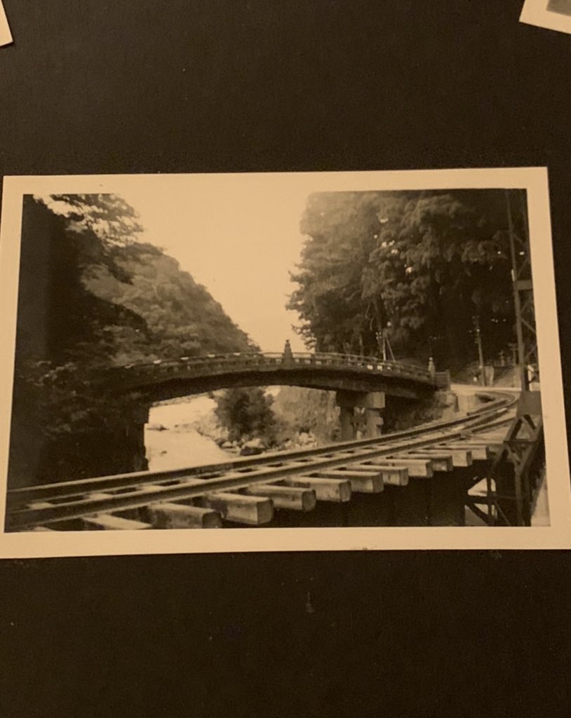 Shinkyo Twitter Search Twitter