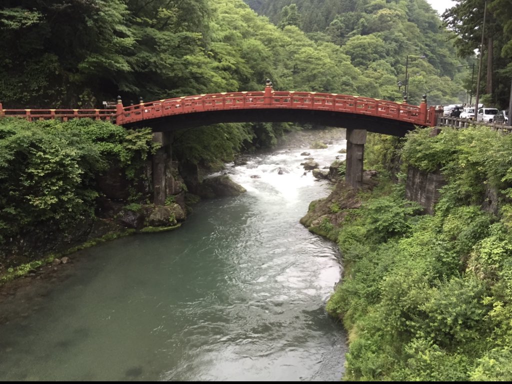 Shinkyo Twitter Search Twitter