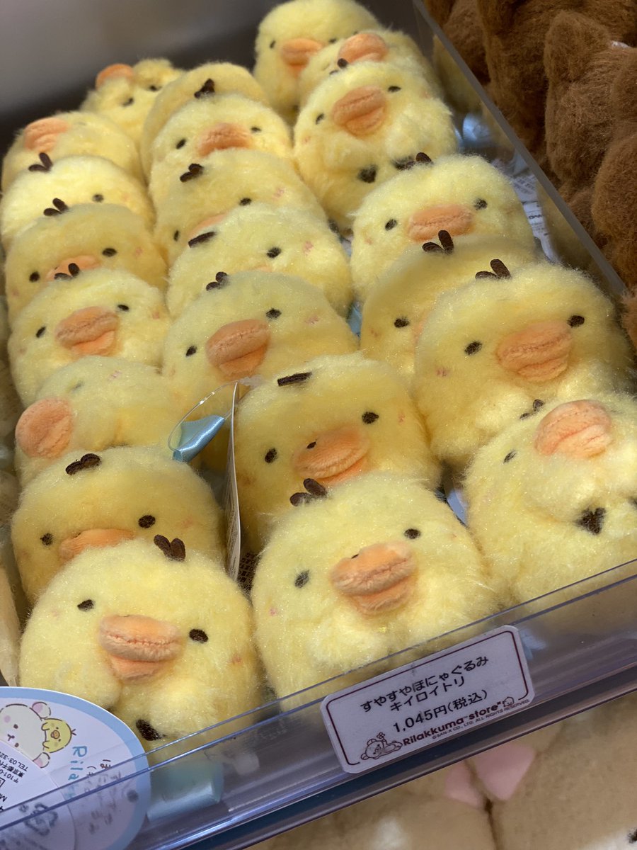 yuritoriii's tweet photo. ほにゃあぬいぐるみ量産されてる…
たまらん🤤🤤🤤
2種類のほにゃあをお迎えいたしました…
#キイロイトリ #リラックマ https://t.co/uojMhRpSCd