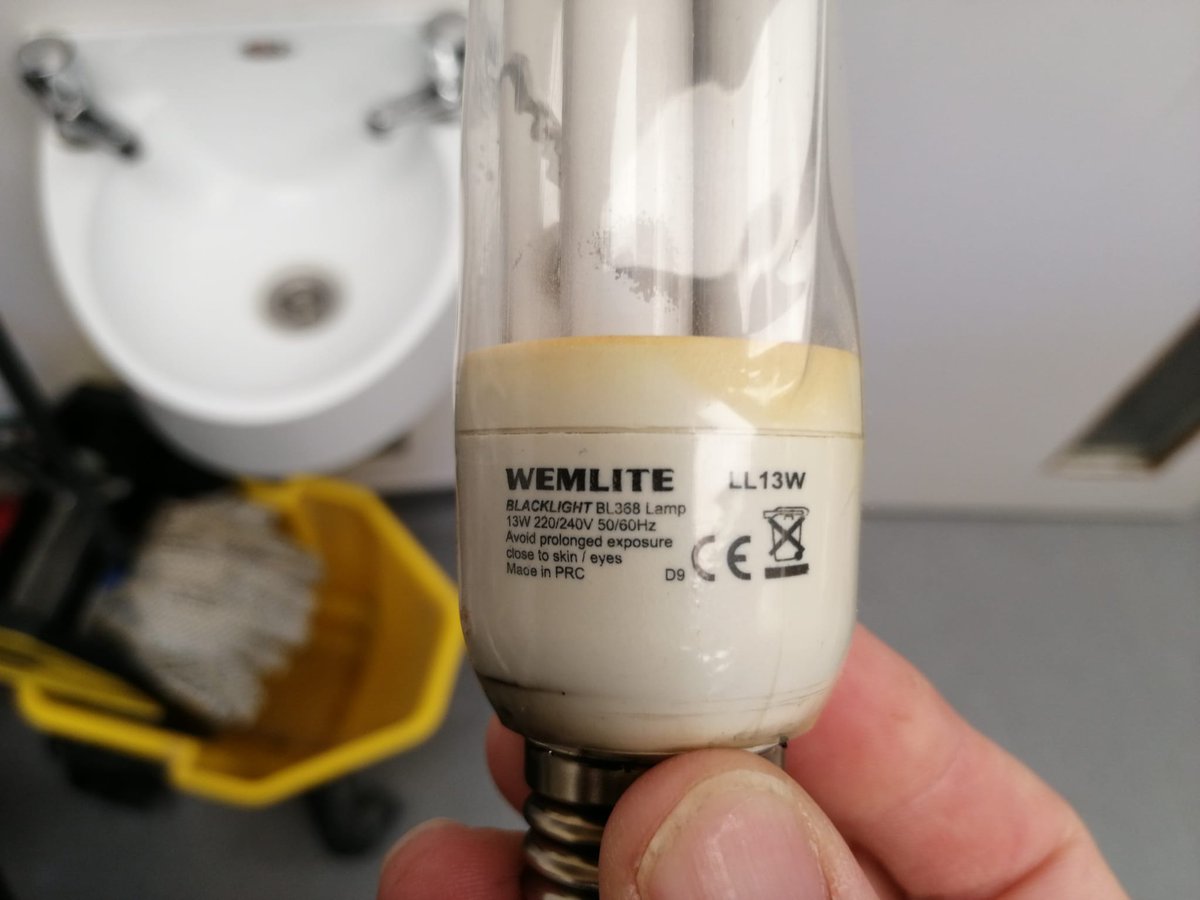 David12081605's tweet photo. Can't quite work out what lamps you need ? Call the experts !!

#bower #pest #pestcontrol  #efk #flykillers #ukpestcontrol https://t.co/0JRu3WNYPy